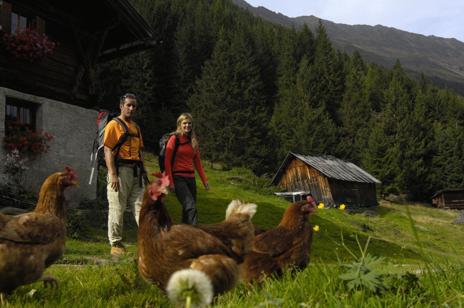 Aparthaus Camping Stubai Neustift im Stubaital Exterior foto